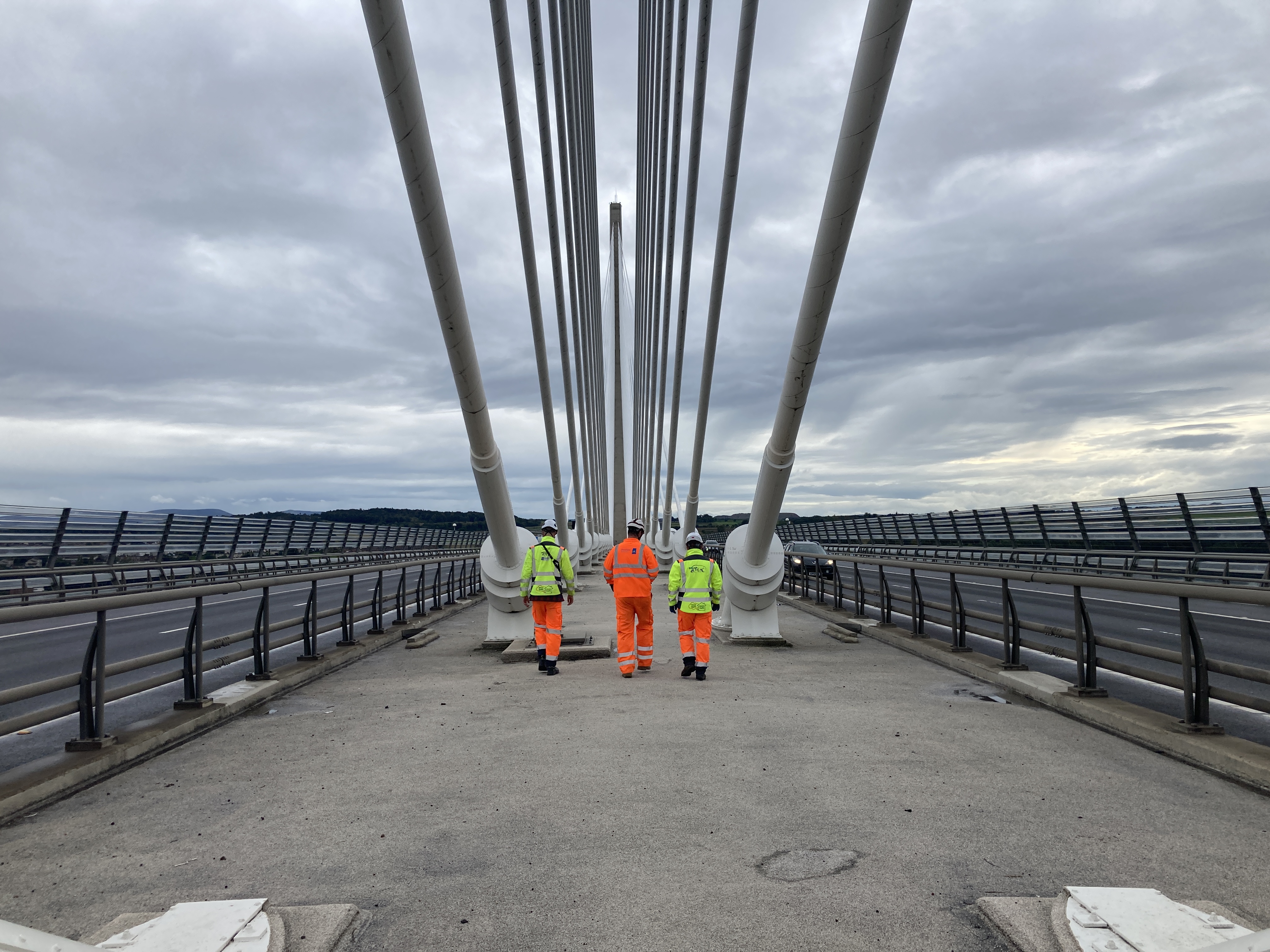 Inspection and investigation icon